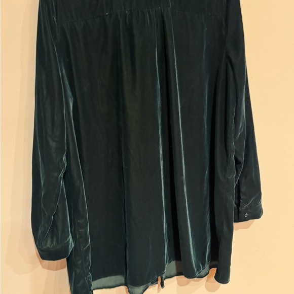 Velvet Green J.Jill Tunic - Picture 2 of 3